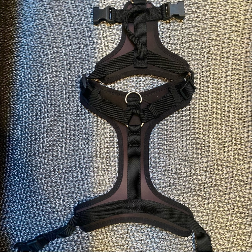 BLACK dog, harnesses size medium